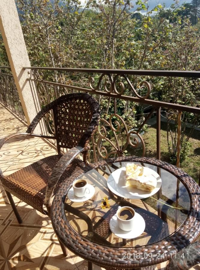 Гостевой дом Guest House Mihalych Гагра-5