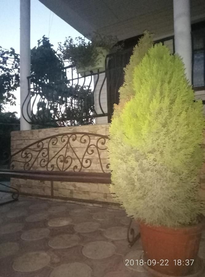 Гостевой дом Guest House Mihalych Гагра-24