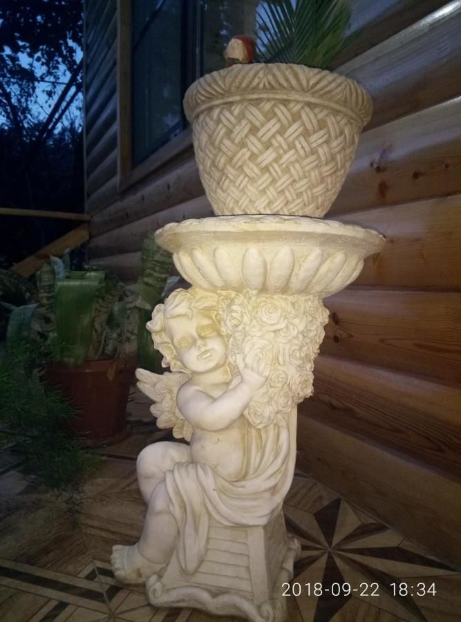 Гостевой дом Guest House Mihalych Гагра-26