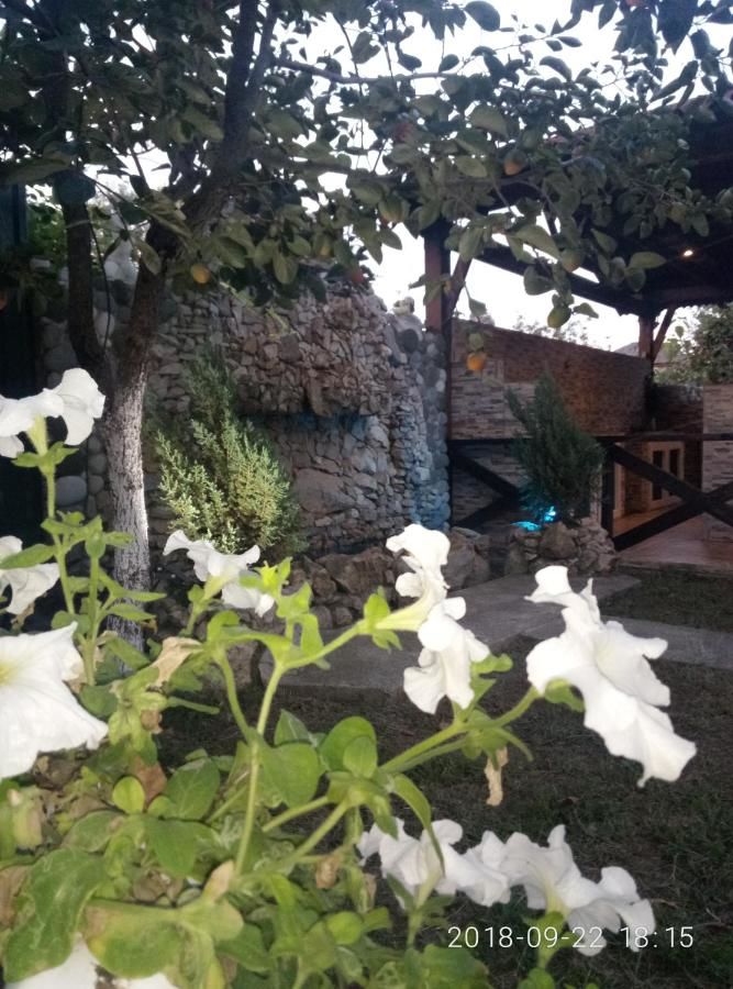 Гостевой дом Guest House Mihalych Гагра-32