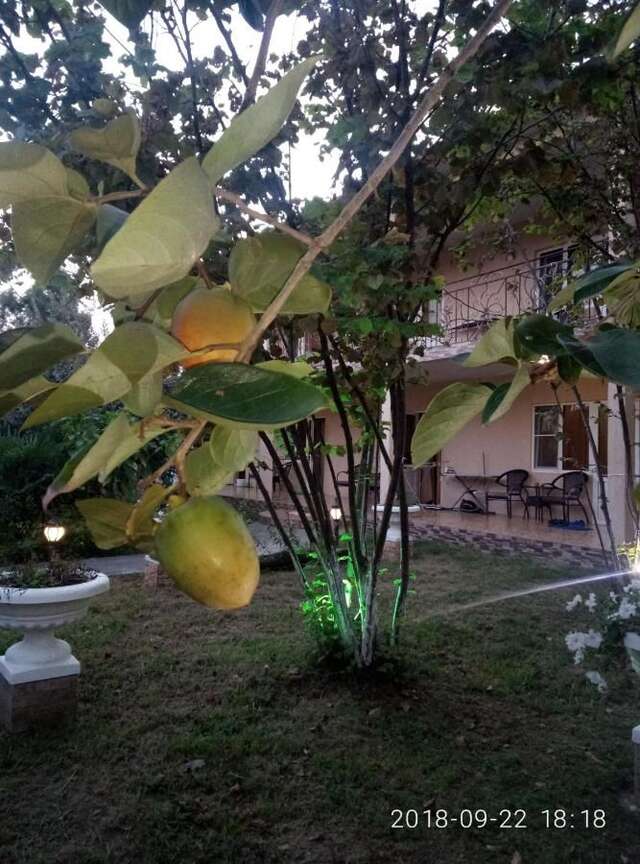 Гостевой дом Guest House Mihalych Гагра-28