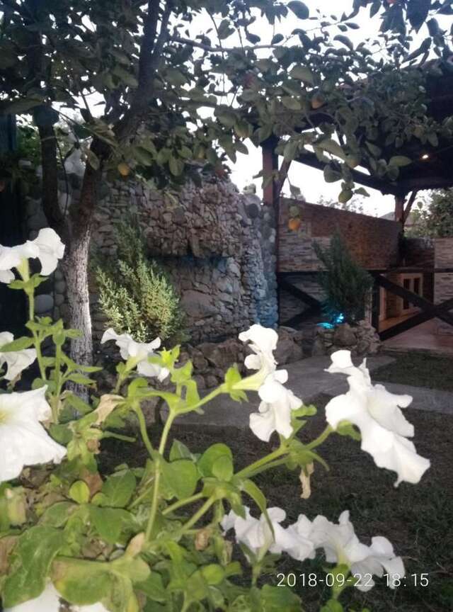 Гостевой дом Guest House Mihalych Гагра-31