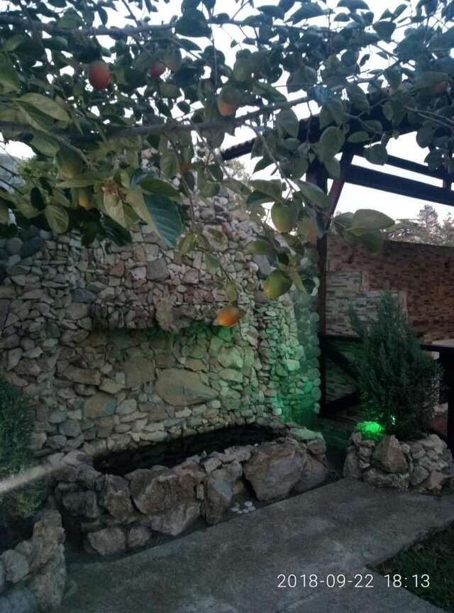 Гостевой дом Guest House Mihalych Гагра-32